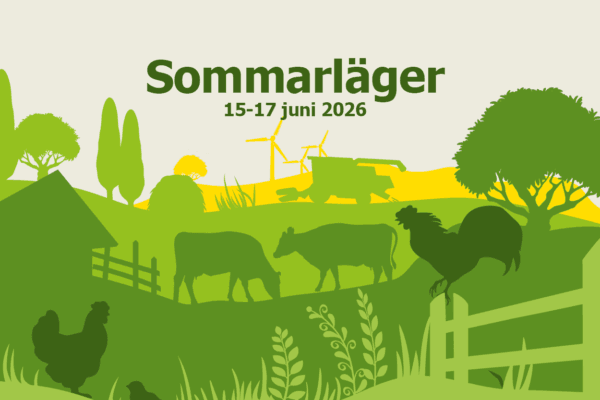 Sommarläger på Ingelstadgymnasiet